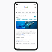 Google провел редизайн выдачи в мобильной версии поисковика
