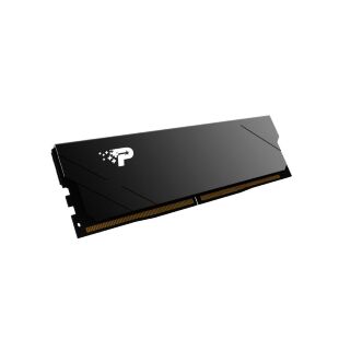 Модуль памяти для компьютера DDR5 16GB 5200 MHz Signature Line Premium Patriot (PSP516G520081H1)