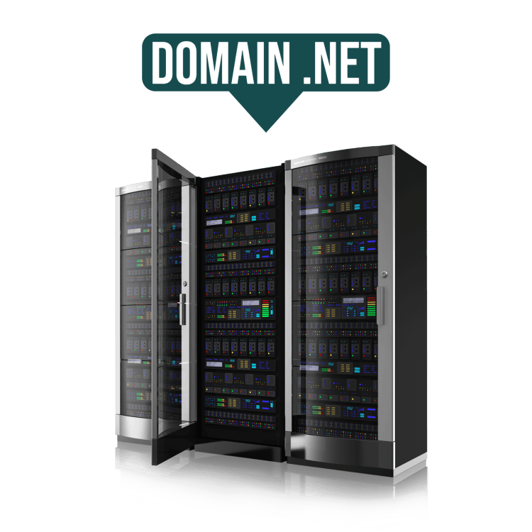 Доменное имя (.NET)