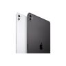 Планшет Apple iPad Pro 13" M5 Wi‑Fi + Cellular 512GB with standard glass - Silver (ME8C4TY/A)