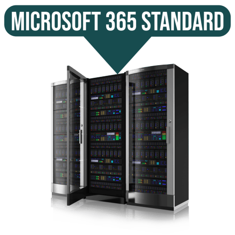 Microsoft 365 (Базовый план) - Прочее  - Прочее 