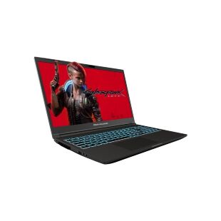 Ноутбук Dream Machines RG3050-15 (RG3050-15UA76)