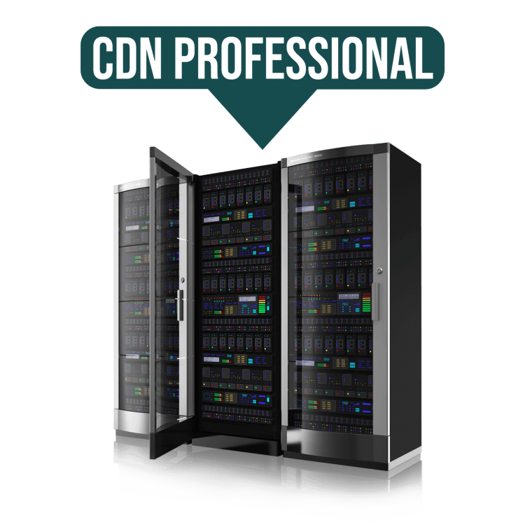 CDN Professional - Прочее 
