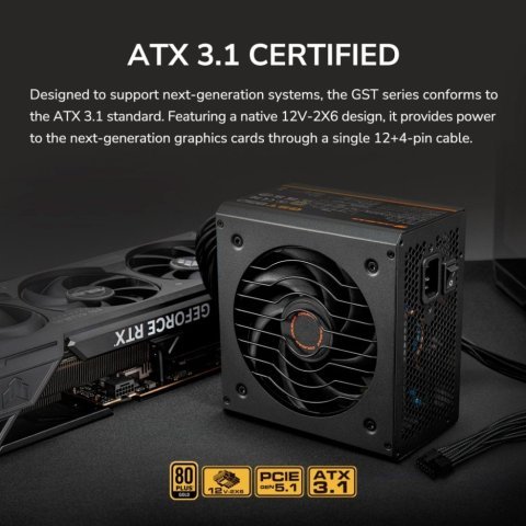 Блок питания Cougar 850W (GST850) - Нулевой остаток (Feed) - Нулевой остаток (Feed)