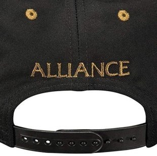 Кепка JINX World of Warcraft Legendary Alliance Premium Snap Back Альянс