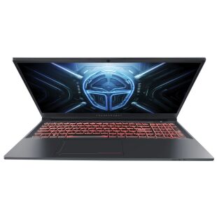 Ноутбук Thunderobot R16 (R16-i7146HX56C1Q300RG)