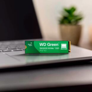 Накопитель SSD M.2 2280 500GB SN3000 WD (WDS500G4G0E)