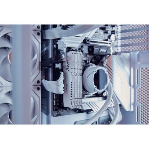 Модуль памяти для компьютера DDR5 32GB 6000 MHz Beast EXPO White Kingston Fury (ex.HyperX) (KF560C36BWE-32) - Модули памяти для компьютера  - Модули памяти для компьютера 