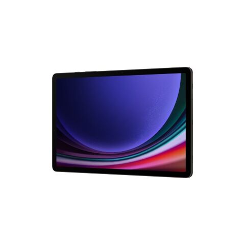 Планшет Samsung Galaxy Tab S9 WiFi 8GB/128GB Graphite (SM-X710NZAASEK) - Нулевой остаток (Feed) - Нулевой остаток (Feed)