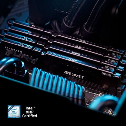 Модуль памяти для компьютера DDR5 32GB (2x16GB) 5600 MHz Beast AM5 Black Kingston Fury (ex.HyperX) (KF556C36BBEK2-32) - Модули памяти для компьютера  - Модули памяти для компьютера 