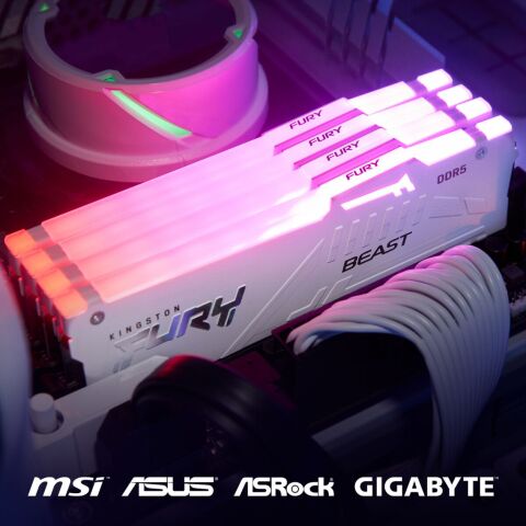 Модуль памяти для компьютера DDR5 32GB 6000 MHz Beast AM5 RGB White Kingston Fury (ex.HyperX) (KF560C36BWEA-32) - Модули памяти для компьютера  - Модули памяти для компьютера 