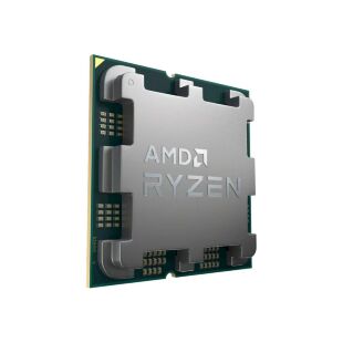 Процессор AMD Ryzen 9 7900X (100-100000589WOF)
