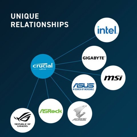 Модуль памяти для компьютера DDR5 8GB 4800 MHz Micron (CT8G48C40U5T) - Нулевой остаток (Feed)  - Нулевой остаток (Feed)