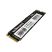 Накопитель SSD M.2 2280 256GB Caiman Wibrand (WIM.2SSD/CA256GB) - Внутренние SSD  - Внутренние SSD 