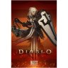 Плакат фирменный Blizzard Diablo Crusader Poster