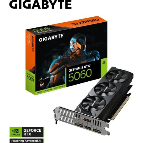 Видеокарта GIGABYTE GeForce RTX5060 8Gb OC Low Profile (GV-N5060OC-8GL) - Видеокарты - Видеокарты
