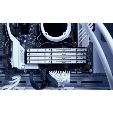 Модуль памяти для компьютера DDR5 32GB 5200 MHz Beast EXPO White Kingston Fury (ex.HyperX) (KF552C36BWE-32) - Нулевой остаток (Feed)  - Нулевой остаток (Feed)