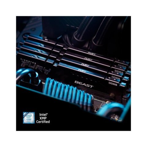 Модуль памяти для компьютера DDR5 64GB (2x32GB) 5600 MHz Fury Beast Black Kingston Fury (ex.HyperX) (KF556C36BBE2K2-64) - Нулевой остаток (Feed)  - Нулевой остаток (Feed)