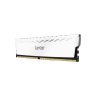 Модуль памяти для компьютера DDR4 16GB (2x8GB) 3600 MHz Thor White Lexar (LD4BU008G-R3600GDWG)